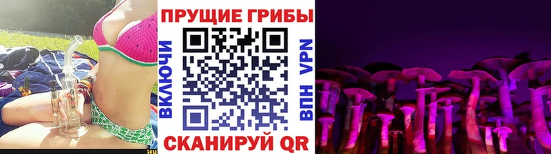 Галлюциногенные грибы прущие грибы  Магадан 